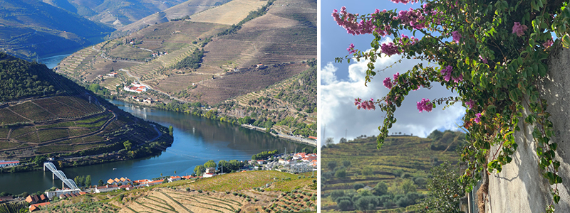 Douro-dalen byder p smukke vandringer